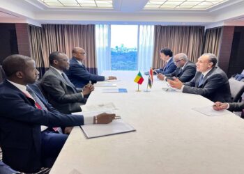 الاقتصاد والتبادل التجاري محور المباحثات بين مصر وبنين في طوكيو