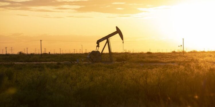 صناديق التحوط تراهن على تراجع السلع الأساسية بأكبر قدر منذ 2011