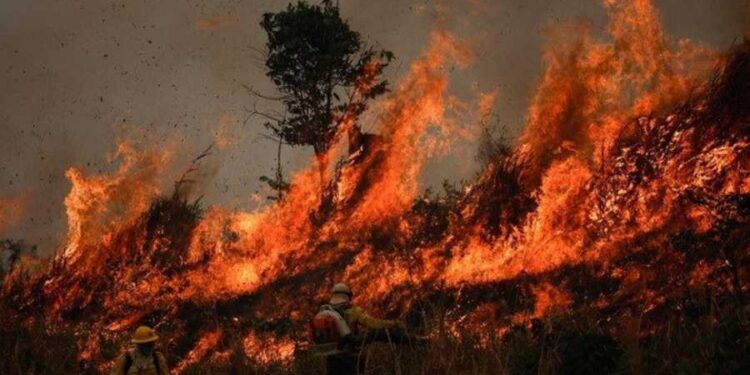 بالفيديو – تحطم طائرة في البرازيل على متنها 62 شخصاً