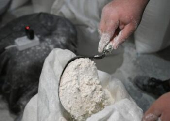 روسيا تزيد صادراتها من الدقيق