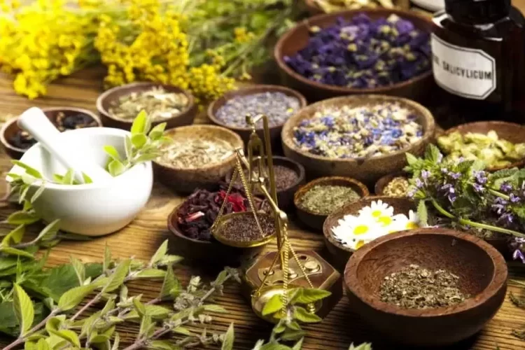 اخصائية في امراض الكبد تحذر من علاجات عشبية شائعة