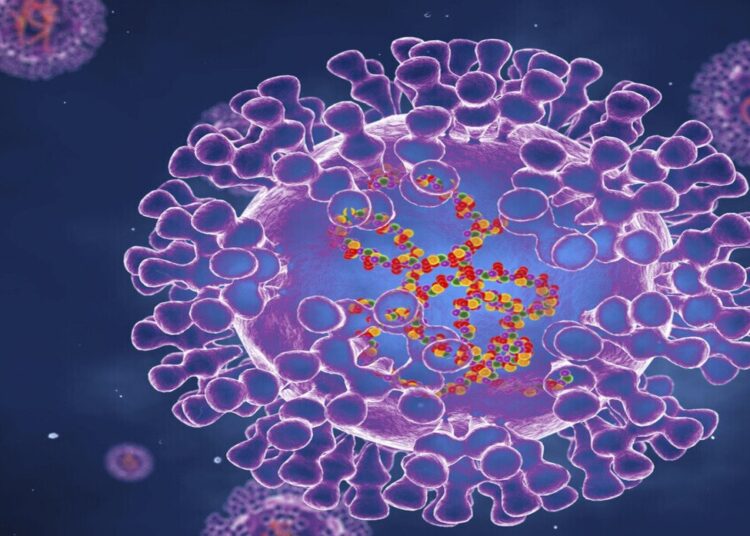 إسبانيا تتصدر أوروبا بعدد حالات الإصابة بجدري القردة