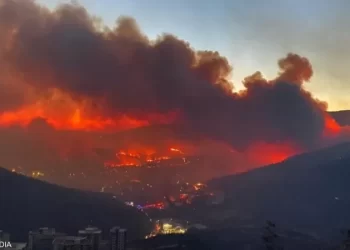 تركيا.. حريق الغابات يمتد إلى المناطق السكنية في إزمير