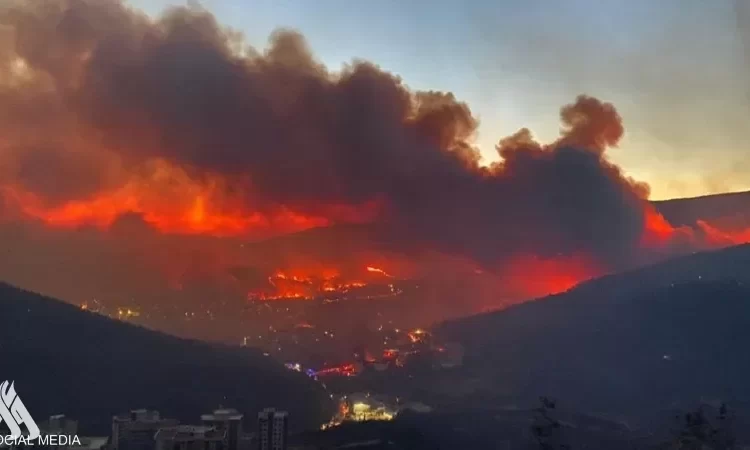 تركيا.. حريق الغابات يمتد إلى المناطق السكنية في إزمير