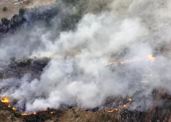 النيران تلتهم مساحات واسعة من ولاية ساو باولو البرازيلية