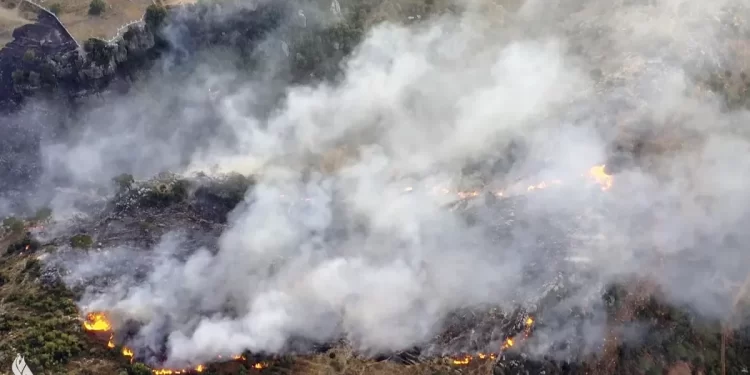 النيران تلتهم مساحات واسعة من ولاية ساو باولو البرازيلية