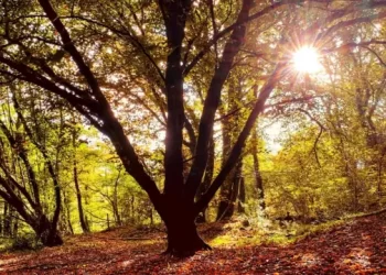 طقس خريفي يسيطر على لبنان… ماذا عن الأيام القادمة؟؟