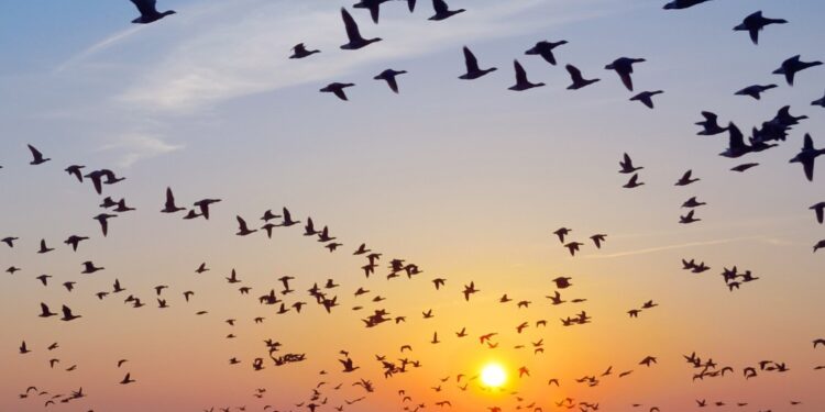 ولمّا أزلْ هناك ..