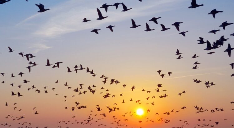 ولمّا أزلْ هناك ..