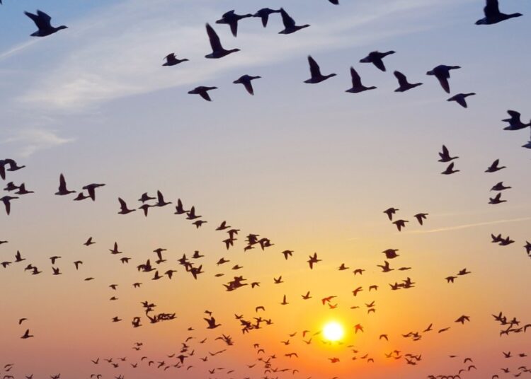 ولمّا أزلْ هناك ..