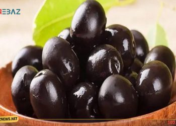 فوائد الزيتون الأسود : فوائد صحية لا غنى عنها