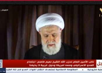 أبرز ما ورد في كلمة نائب أمين عام حز.ب ا!لله نعيم قا.سم