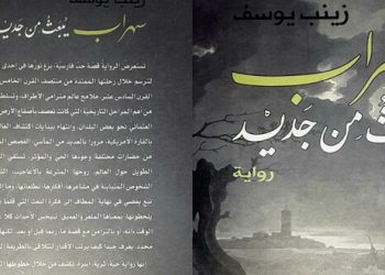 رواية جديدة للأديبة زينب يوسف