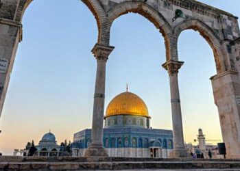 أين العرب والمسلمون