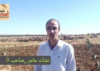 مشروع زراعة التين الشوكي الهجين وظروفه في السويمرة