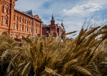 تعاون روسي مغربي في مجال تصدير الحبوب