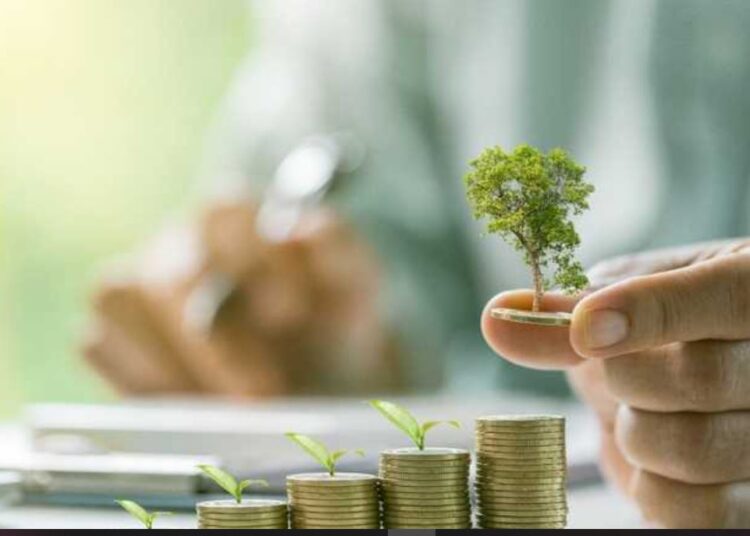 وكالة تصنيف دولية تتوقع أداء أفضل للبنوك الخليجية في 2025