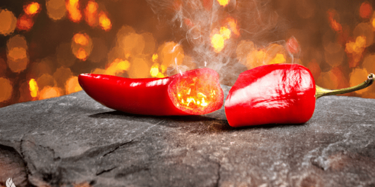 مكون في الفلفل الحار يظهر تأثيرا مضادا لورم سرطاني نادر