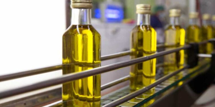 47% زيادة في صادرات زيت الزيتون التونسي خلال نوفمبر 2024