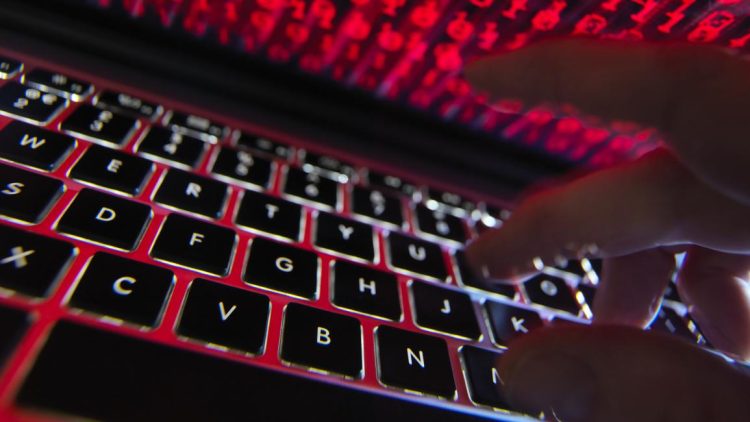 1300 قضية احتيال إلكتروني في الجزائر خلال العام المنصرم