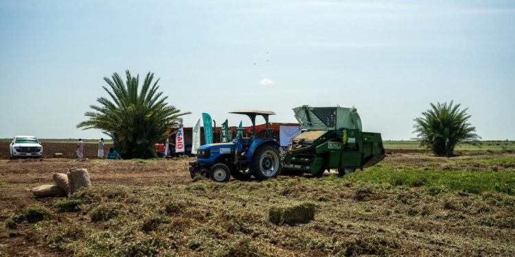 غياب التمويل يعمق أزمة الزراعة في السودان