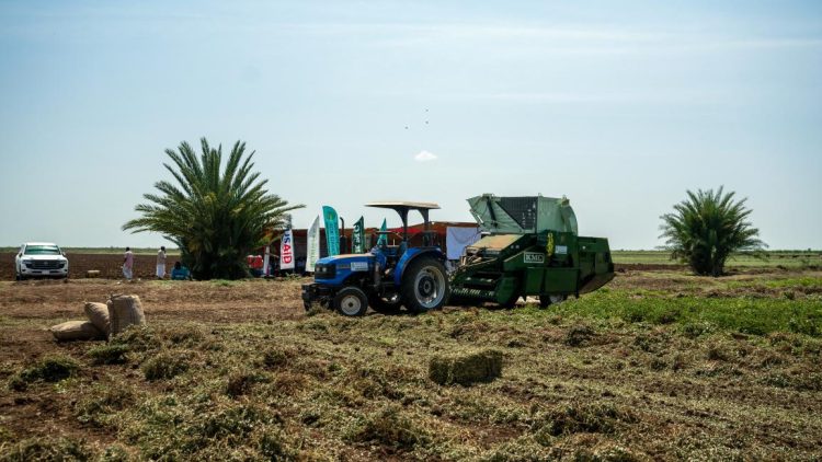 غياب التمويل يعمق أزمة الزراعة في السودان
