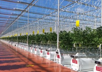 جهود بارزة في زيادة الإنتاج القطري ودور محوري للقطاع الخاص