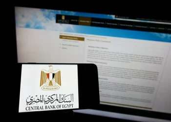 المغتربون المصريون في الخارج يرفدون اقتصاد بلادهم بأكثر من 26 مليار دولار خلال 8 أشهر