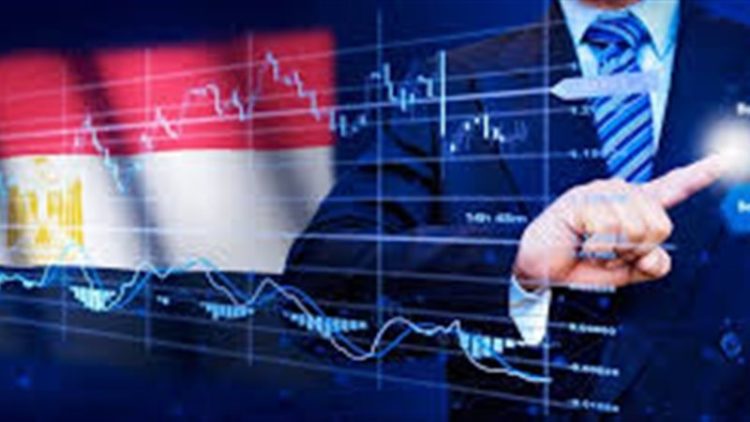 اقتصادي مصري يشخّص أسباب انكماش القطاع الخاص المصري غير النفطي