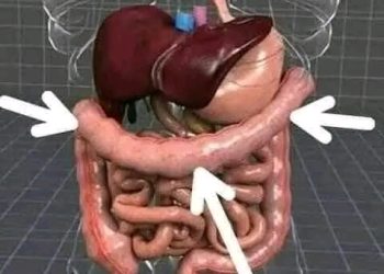 القولون العصبي.. أعراضه وطرق علاجه..