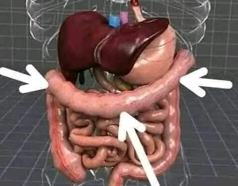 القولون العصبي.. أعراضه وطرق علاجه..