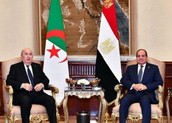 بهدف تعزيز التعاون الاقتصادي بين البلدين.. القاهرة تستضيف مباحثات مصرية جزائرية الأسبوع المقبل