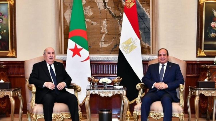 بهدف تعزيز التعاون الاقتصادي بين البلدين.. القاهرة تستضيف مباحثات مصرية جزائرية الأسبوع المقبل