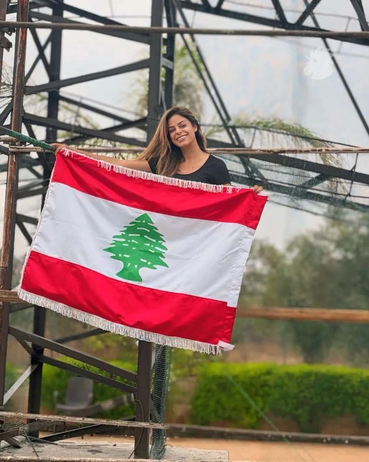 أكبر شجرة أرز بلاستيكية في العالم لشبطيني بالاستقلال