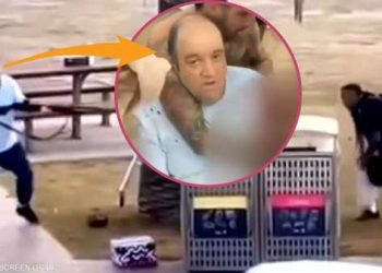 بطل سيدني من النيرب.. كيف أعاد الأحمد كتابة السردية السورية