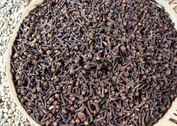 ما أبرز فوائد القرنفل؟ وما دوره في تحسين صحة الكبد؟