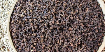 ما أبرز فوائد القرنفل؟ وما دوره في تحسين صحة الكبد؟
