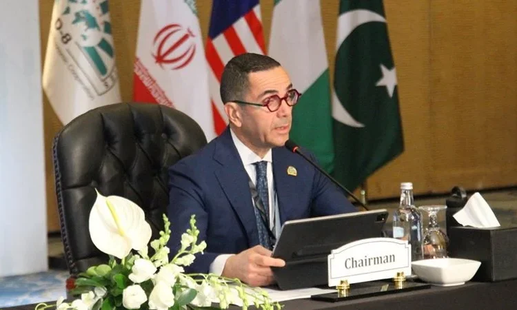 مصر تؤكد التزامها بالتصديق على اتفاقية التفضيل التجاري لـ”D-8″