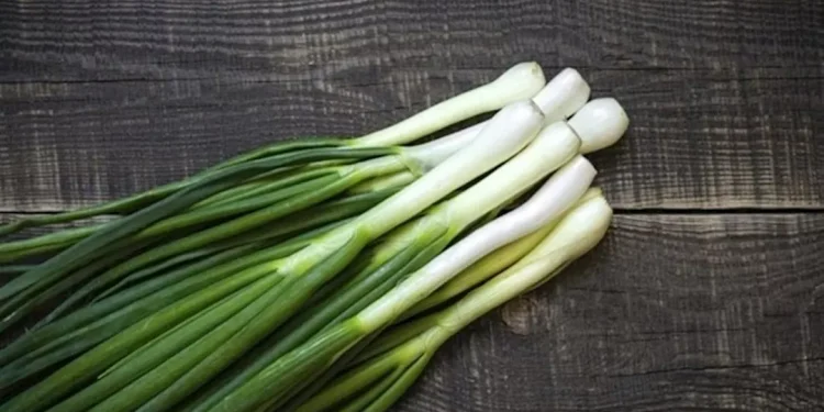 البصل الأخضر والضغط- يرفعه أم يخفضه؟