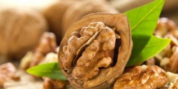 تعرفوا على فوائد عين الجمل للشعر والجسم.