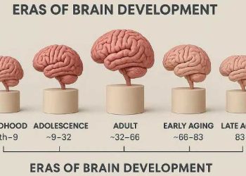 دراسة.. مرحلة المراهقة قد تستمر حتى سن 32