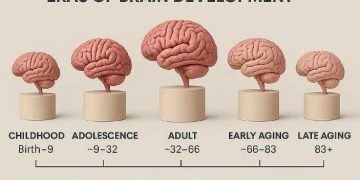 دراسة.. مرحلة المراهقة قد تستمر حتى سن 32