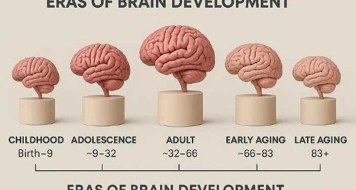 دراسة.. مرحلة المراهقة قد تستمر حتى سن 32