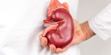 9 نصائح فعالة للوقاية من مشاكل الكلى فى الطقس البارد