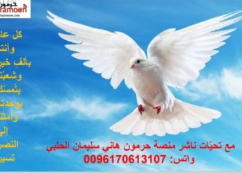 في 2026 .. ماذا أنتم فاعلون؟