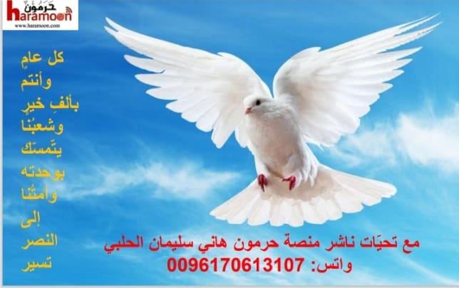 في 2026 .. ماذا أنتم فاعلون؟