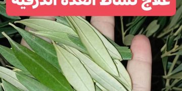 علاج نشاط الغدة الدرقية