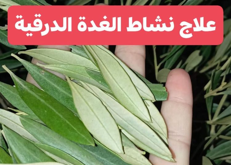صيدلية حرمون: علاج نشاط الغدة الدرقية