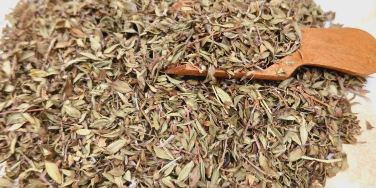 فوائد الزعتر وأهميته