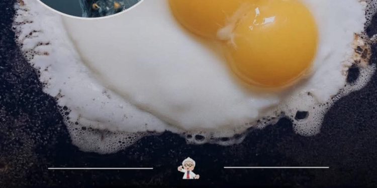 بيضة واحدة قد تحمي دماغك!